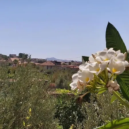 Bed & Breakfast No Zu Fili Villaggio Mose (Sicily)